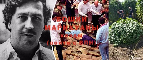 молекула духа Лихославль